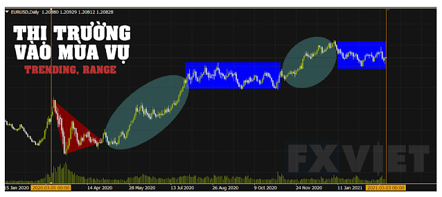 chu ki thi truong forex