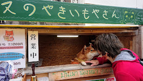 北海道 札幌 イヌのやきいもやさん　柴犬のケン