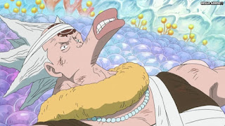 ワンピースアニメ 魚人島編 539話 はっちゃん ハチ CV.森川智之 | ONE PIECE Episode 539