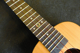 Omega Zedro II Concert Ukulele fingerboard