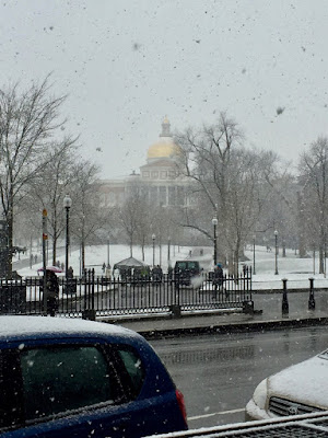 The State House viewed across Boston Common