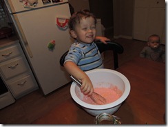 DSCN0947