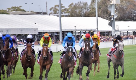 race 4_finish 1