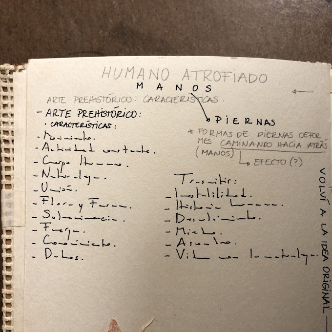 “Proyecto Gráfico”