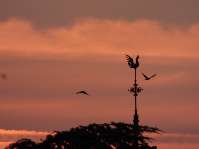 Sunrise at Tonbridge Castle - birds fly past the weather vane of Tonbridge Parish Church with a bright orange sunrise sky in the background