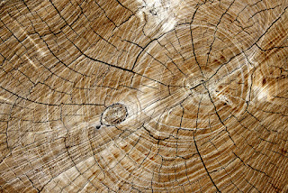 wood cutting wallpapers backgrounds