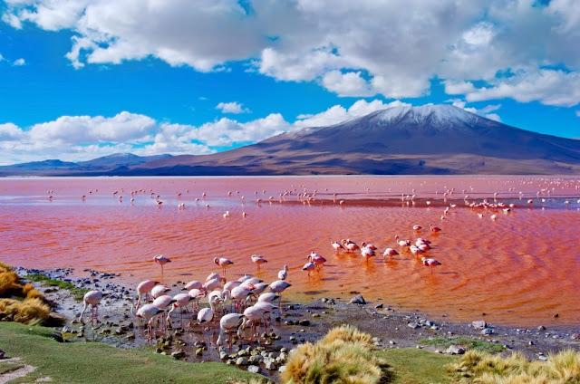 Hồ Colorada, Bolivia