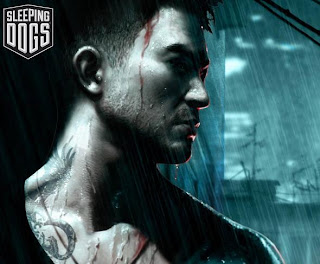 Sleeping Dogs PC 