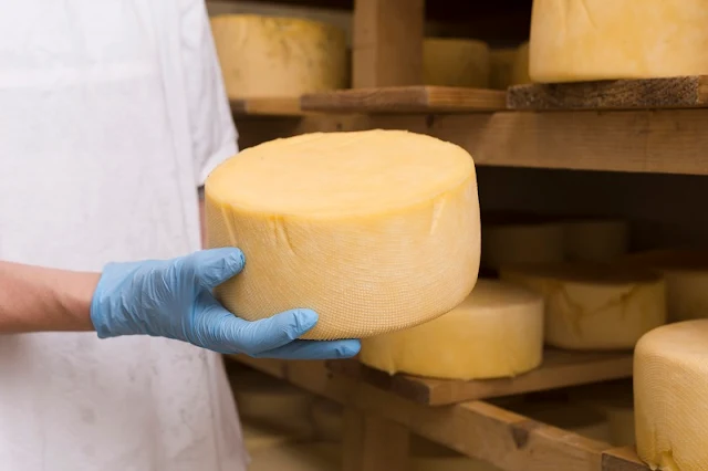 Secretaria de Estado de Agricultura lança cartilha com orientações para obtenção do Selo Queijo Artesanal