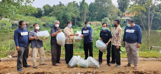 BBI Hasilkan 200 Ribu Benih Ikan Pertahun