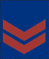 Naik Rank Badge