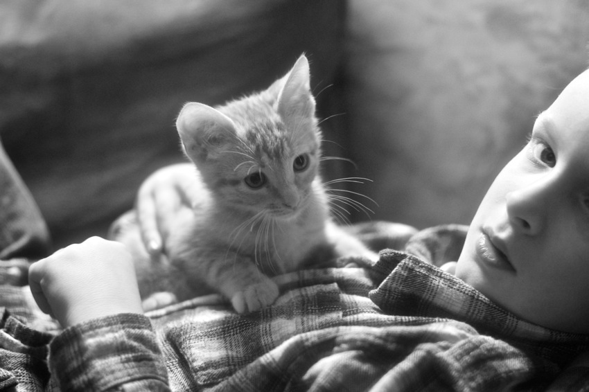 DSC07638  Version 2