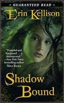 shadowBoundCover_med