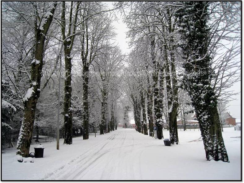 Beautiful Images from France 3