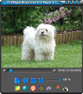 FLVPlayer4Free 3.2.0.0