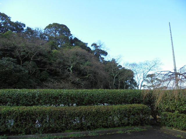 湊山公園の駐車場