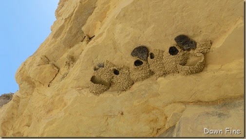 Terlingua rockhounding_118