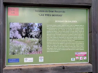 Information board about the hiking trail GR 246.