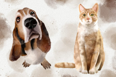 Dogs and Cats Watercolor Collection Graphic