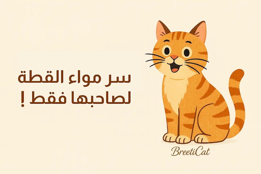 سر مواء القطة لصاحبها فقط!