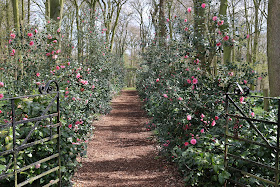 April at Renishaw Hall Gardens