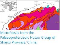 https://sciencythoughts.blogspot.com/2020/04/microfossils-from-palaeoproterozoic.html