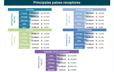 asesores economicos independientes 5-5 Javier Méndez Lirón