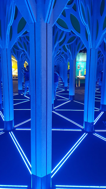 mirror-maze