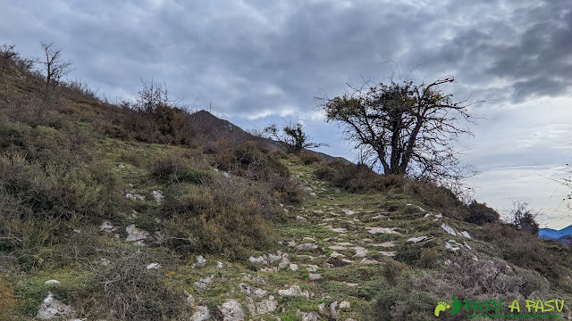 Saliendo de Llabayos a Linares