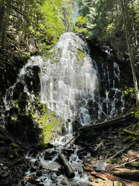 A waterfall cascading down a tall embankment of rock. Evergreen trees surround the waterfall.