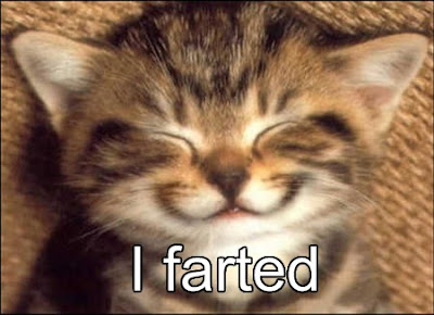 farted cat