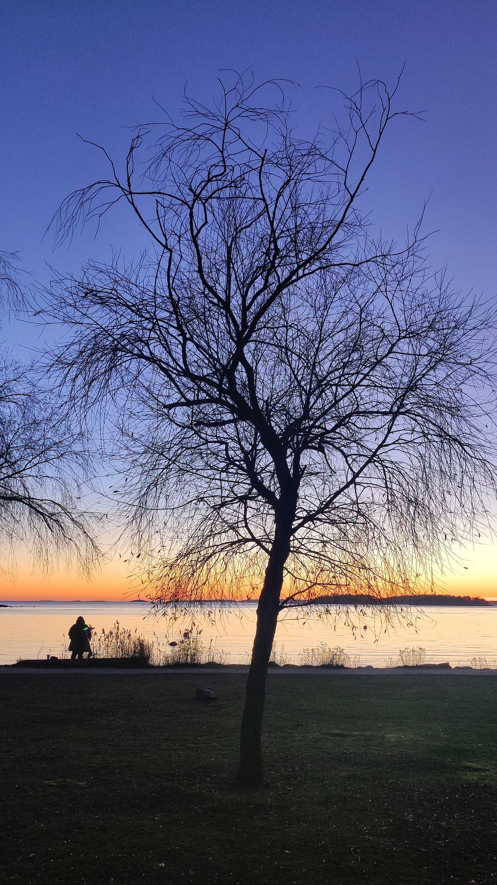 Auringonlasku marraskuussa