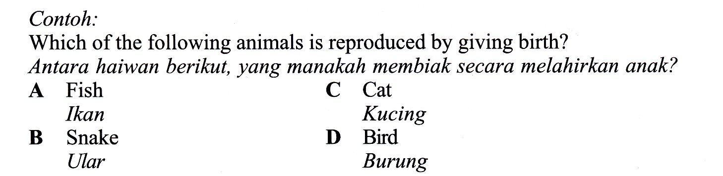 Science Is Easy: Teknik Menjawab