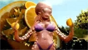 octo(375×212)-deubandeira[3]