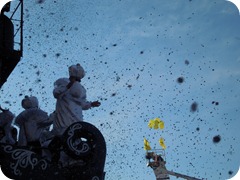 DSCN8835