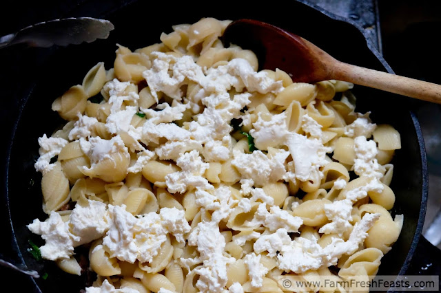 A skillet meal of Italian sausage, fresh kale, and caramelized onions tossed with pasta shells and bound together with creamy burrata cheese.