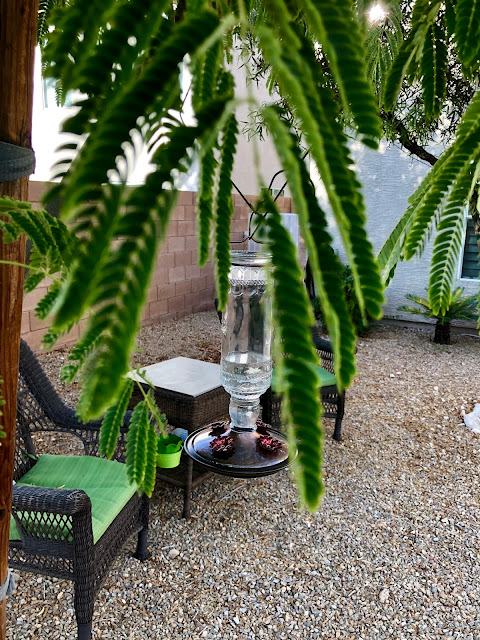 hummingbird feeder all hung up close up