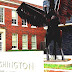 Booker T. Washington High School - Booker T Washington High School