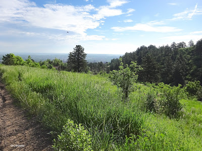 view from Chataqua Park, Boulder