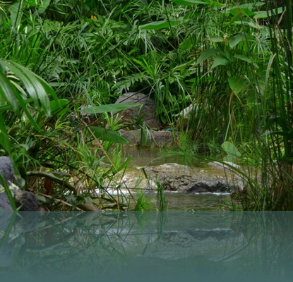 P1000959