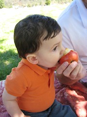 Mandrew 086