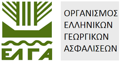 ΒΑΤΙΚΑ:Πορίσματα ΕΛΓΑ για καλλιέργειες κρεμμυδιών σε Αγ. Αποστόλους και Αγ. Γεώργιο