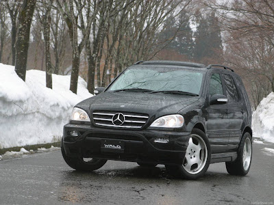 2003 Wald Mercedes-Benz M-Class PICTURES