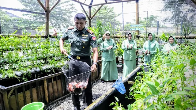 Dukung Ketahanan Pangan, Kodim Pemalang Panen Ikan Lele dan Nila