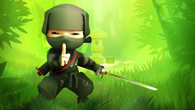 Mini Ninja