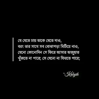 Bangla Koster Picture HD