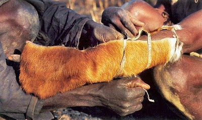 Shocking Pictures of an African Catching Python for a Living Seen On www.coolpicturegallery.us