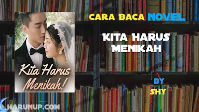 Novel Kita Harus Menikah Karya SHy Full Episode