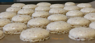 Macarons cacahuète, noisette, noix de pécan et noix de coco