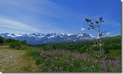 Between Haines Junction headed for Haines